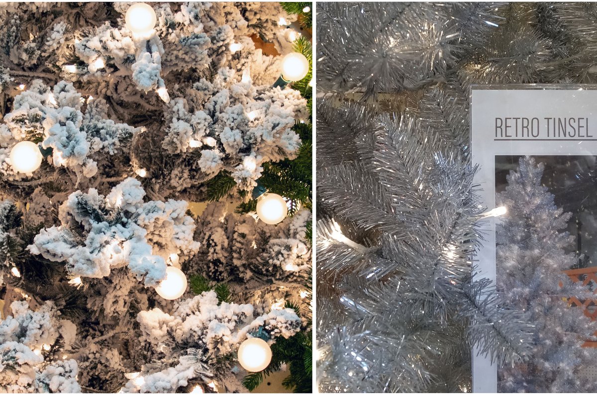 JacobsonFloral's tweet photo. We're open Sunday Nov. 22: 8am-12pm
Come by early and see our selection of Trees, from Majestic Pines to our adorable table top collections, we have a tree for every occasion. Be sure to stock up on all our Holiday favorites. Shop Trees online Here! https://t.co/9W6v5e7MhU https://t.co/5uC44uq3Lw