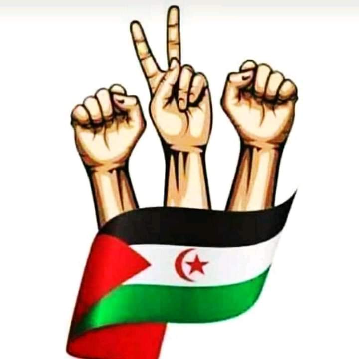 med_hakima's tweet photo. صحراوي صحراوية 
ايدي فأيدك للحرية
#FreeWesternSahara 
#البوليساريو_تنتصر https://t.co/I1UlIWSCS1
