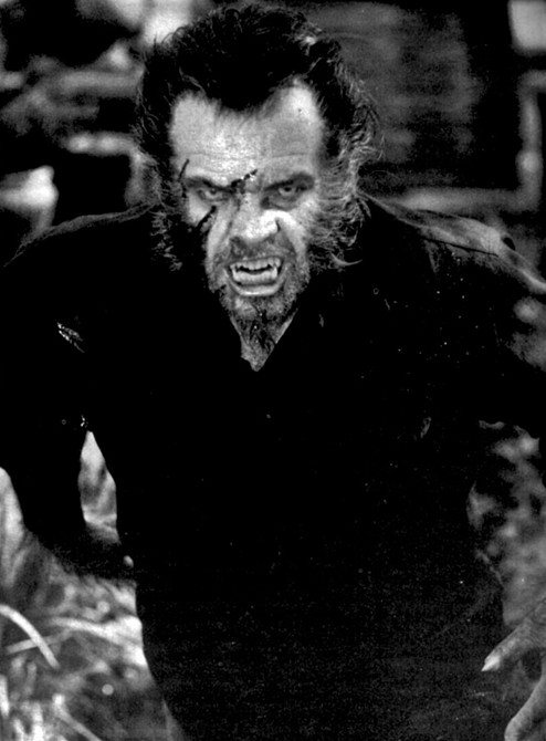 TommyDoyle47's tweet photo. Who would like to see a new Vampire or Werewolf horror movie? 🧛‍♂️💀or 🐺🌕 https://t.co/Moj2GyMNWw