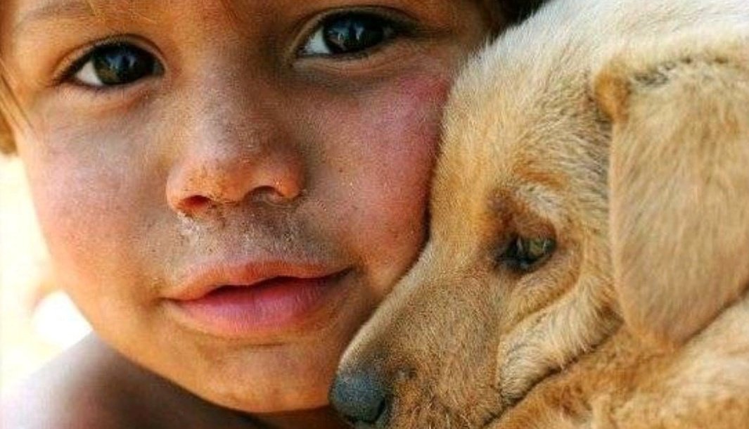 Волонтеры с собаками. Собаки из приюта и люди. Спасение животных людьми. Люди которые помогают животным и людям. Помогать животным.