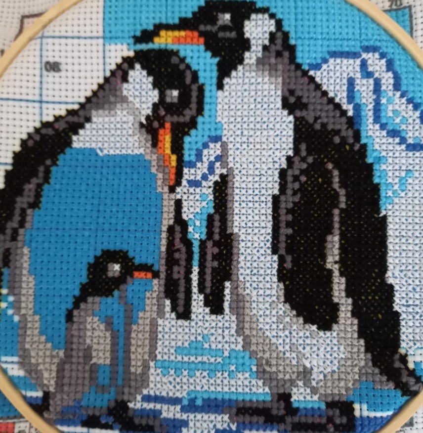 ellie99's tweet photo. I can't compete with a giant owl cross-stitch but here are some cute penguins in progress. #WeStartToDance #TimeToShine #NewLockdownHobby https://t.co/tzMKFb4Ogl