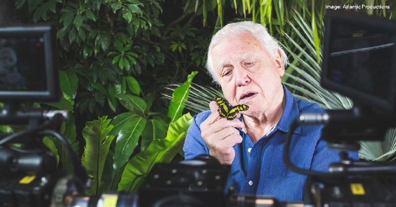 TheFoundryTeam's tweet photo. We followed @alchemyimmerse and discovered the accomplishments, challenges, and technicalities of #MicroMonsters - an #immersive series featuring #DavidAttenborough. 

Read here: https://t.co/VCuFwf3NVY
#VFX #ImaginationEngineered