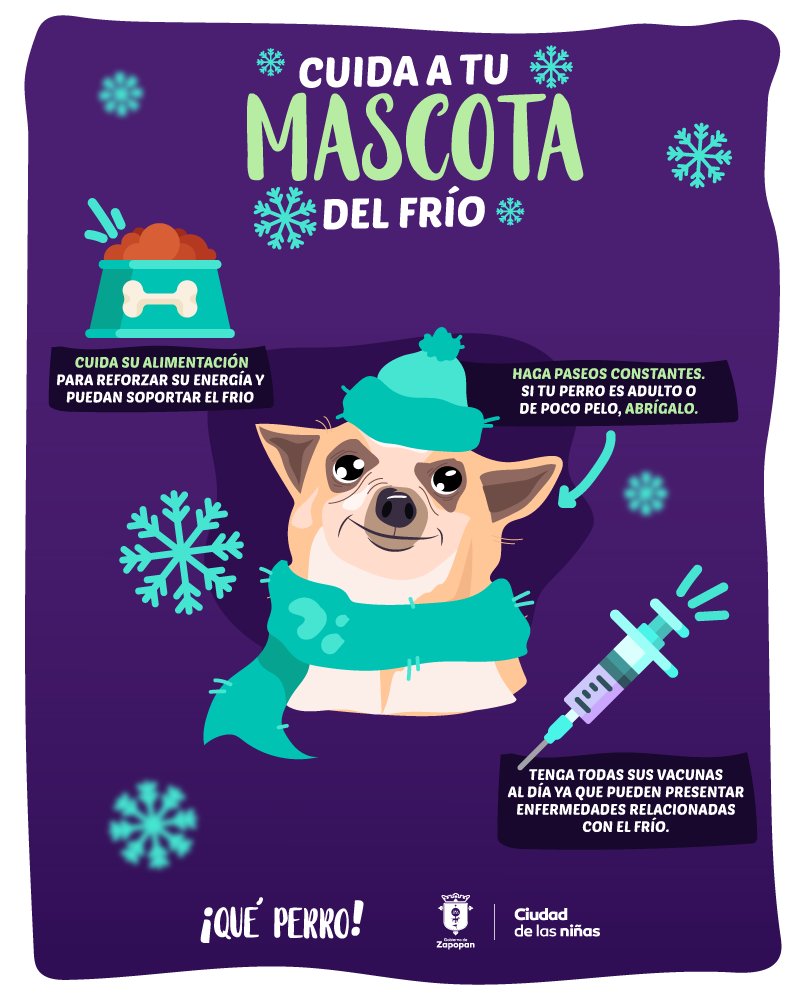 Cuidados en el invierno - Consejos para mascotas