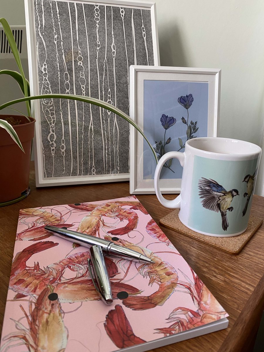 quintsprints's tweet photo. Prawn #notebooks here: https://t.co/agouXkycmt

#art #artist #paint #painter #painting #fish #shellfish #prawn #pink #shrimp #colour #watercolour #watercolourpattern #watercolourpainting #pattern #patterndesign #design #designer #repeatpattern #patterndesigner #fishart #notebook https://t.co/gblZht0xSS