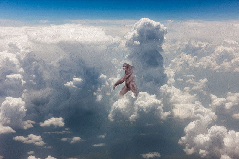 BYBI73's tweet photo. #CloudSeries #photofun https://t.co/mAVvDC8Yy2