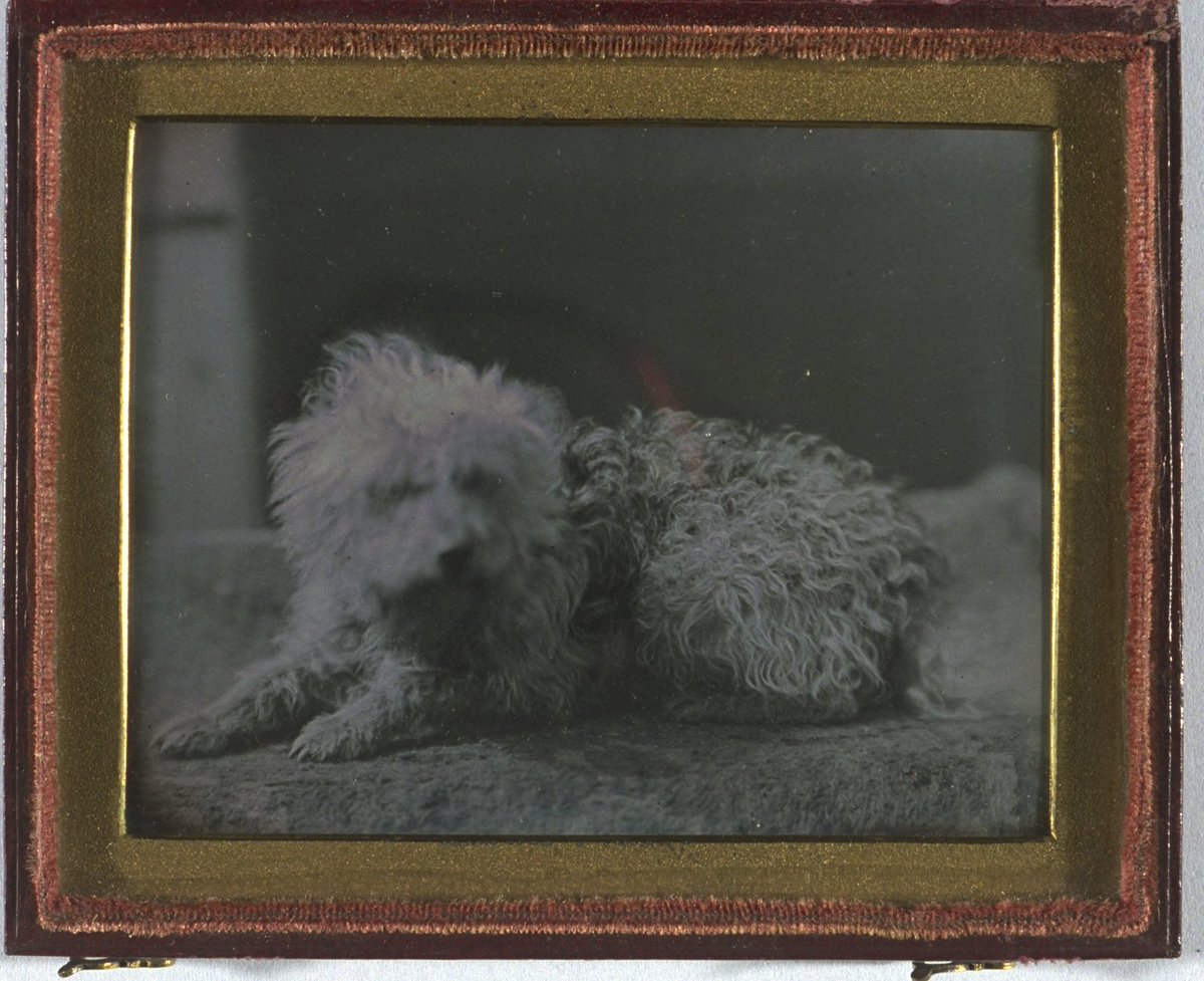 MediaMuseum's tweet photo. Today is Louis Daguerre's 233rd birthday 🥳

To celebrate, here's a short thread of some of our daguerreotypes, starting with the classic 'doguerreotype' https://t.co/Hqm97Lb6Tp