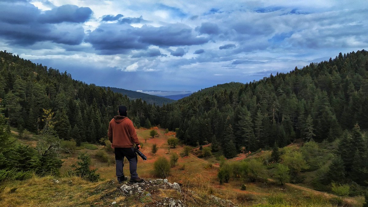 AliSenelFilms's tweet photo. Hani şu 25 gün kamp yapıp yaban hayatını görüntülediğim doğa harikası, ülkemin cennet köşesi Muratdere Ormanları var ya... Ha işte, O da yok edilecekmiş 😥 Olumsuz ÇED raporuna rağmen maden çıkartmak için bakın neler elden gidecek. Lütfen okuyun + https://t.co/55P9RIMLjq