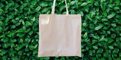 The_Env_Ment's tweet photo. #tipstogogreen 10) Take #reusablebags to the store with you to grocery #shop instead of opting for #paper or #plastic #smallactions #MakeADifference https://t.co/xMKRIx1wPl