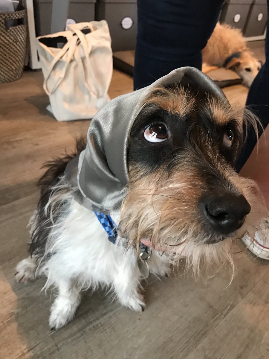 Keates Interiors tweet media