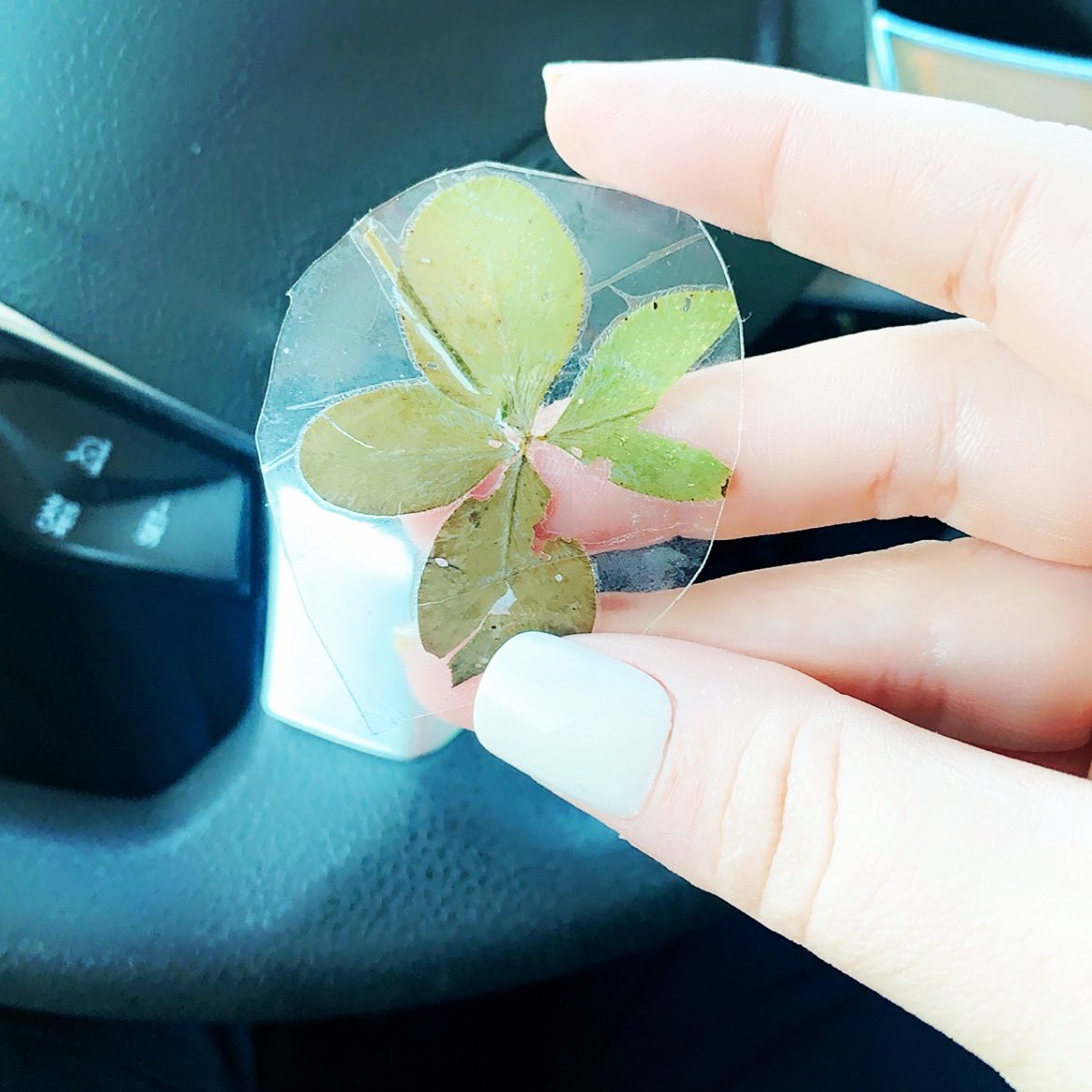 AdiraUnleashed's tweet photo. Just had a man stop and walk up to our ambulance and hand my partner and I two 4 leaf clovers. He said, “I want to give you these for luck. You guys work very hard and I appreciate what you do.” We were extremely touched. It’s moments like this that make it all worth it. ♥️🚑♥️ https://t.co/KWnb5nEkG2
