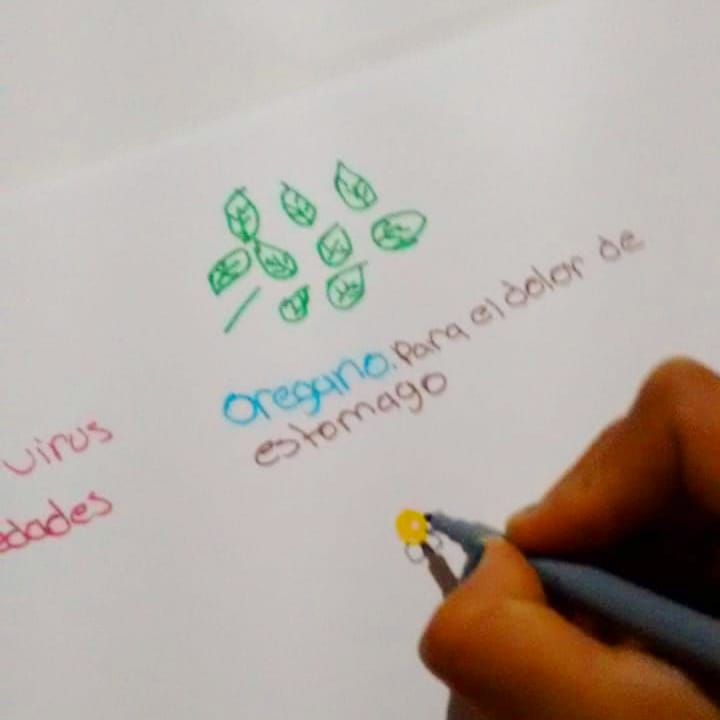 SemillerosQ's tweet photo. Jóvenes retoman los conocimientos de la herbolaria mexicana en  Semillero Creativo de Cadereyta Querétaro, dan continuidad a los saberes. Maestro Jerónimo Palomares.
@VinculaCultura @cultura_mx
 @alefrausto @EsTetereta
 #CulturaComunitariaVa #ComparecenciaCultura https://t.co/AaUlXIQGLd