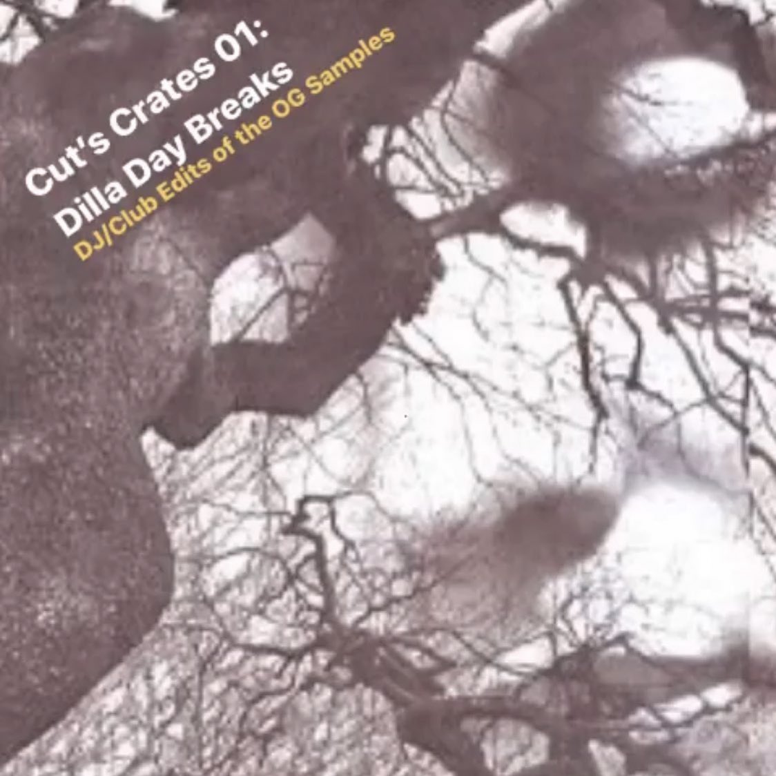 Cut Chemist tweet media