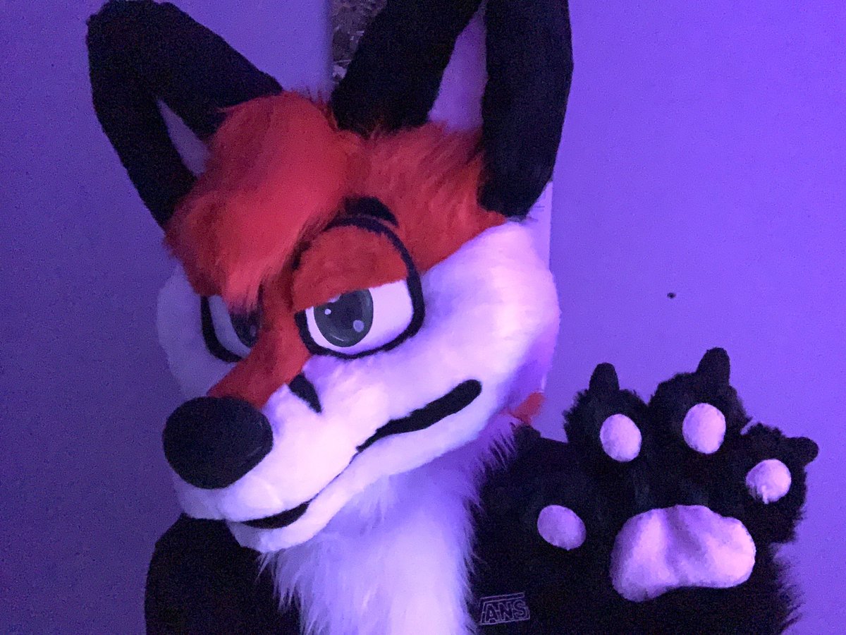 MalakaiDragon's tweet photo. High five anyone? ππΎ
#furry #fursuit #fursuits #fursuiter #fursuiters #fursona #furryoc #foxfurry #cutefurry #furryfandom #twitterfurs #fursuitfriday https://t.co/ztqBygn0LY