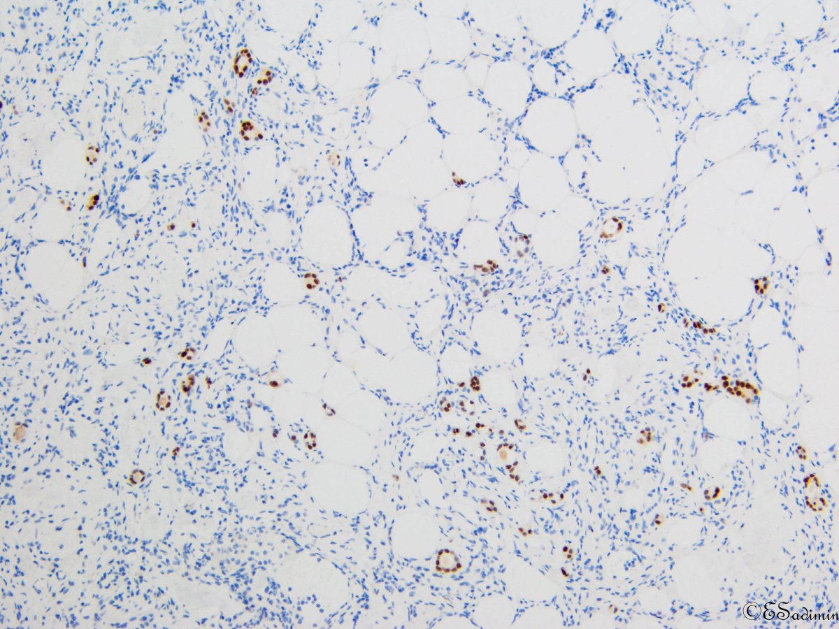 Evita Sadimin tweet media