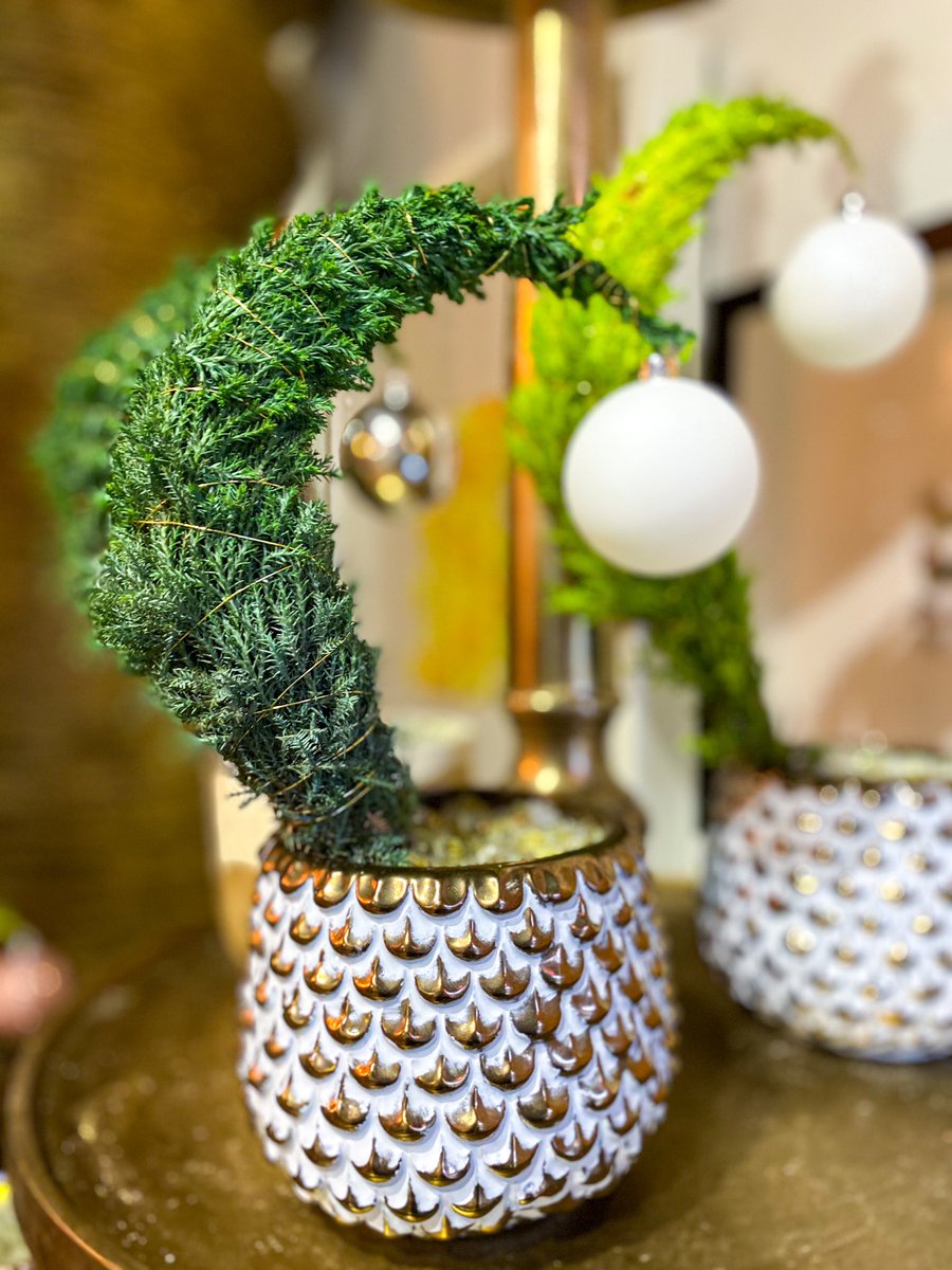 BroadviewDanBIA's tweet photo. We saw some very light flurries out there today and thought it’s a perfect time to announce that the mini grinch trees are back @FreshFlorals . Get yours while they last!
#onthedanforth #shoplocal #toronto https://t.co/k9vGoytvCQ