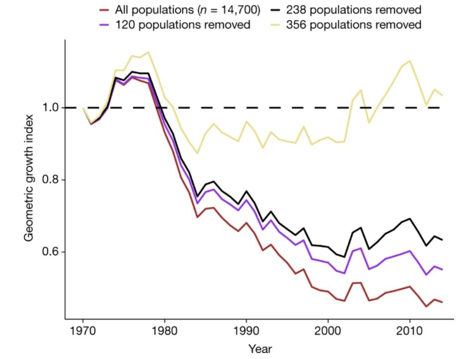 Very important reanalysis of the Living Planet Index trends  @natureClustered versus catastrophic global vertebrate declines https://www.nature.com/articles/s41586-020-2920-6Clusters of extreme decline in ~1% of populations. The remaining 98% of populations showed no mean global trend  #biodiversity