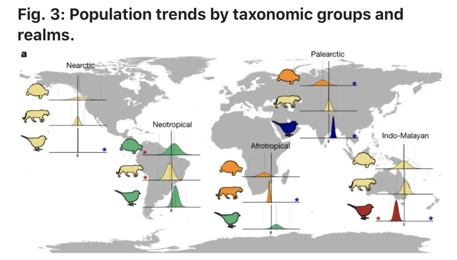 Very important reanalysis of the Living Planet Index trends  @natureClustered versus catastrophic global vertebrate declines https://www.nature.com/articles/s41586-020-2920-6Clusters of extreme decline in ~1% of populations. The remaining 98% of populations showed no mean global trend  #biodiversity