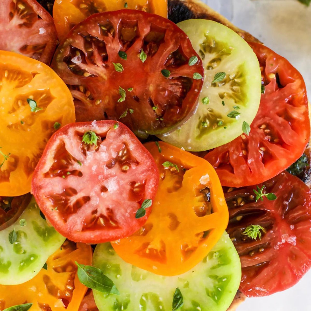 Have you ever had the pleasure of tasting a #tomatopie? 🥧 Comment below if you have! 📸:@stewart_md4p

🌿 Grow new &amp; exciting varieties!
🤩 Become a member of the Monthly Seed Club
👉urbanorganicgardener.cratejoy.com