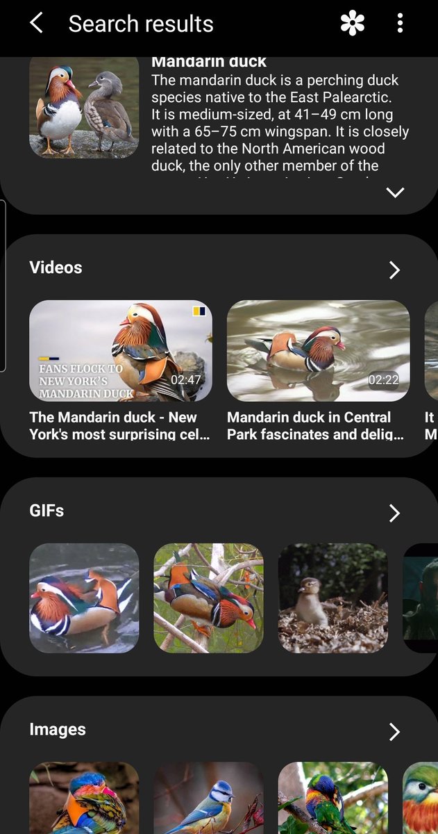 StoriesByMom's tweet photo. @hsinjammies Awe thank you. ❤❤ I sincerely appreciate that. It's been a while since I got to sit down and do one of these. But now feeling a bit inspired. 😊 I was hunting for the name using a reverse image search, it said it was a Mandarin Duck  a fluffy version I suppose 😄 https://t.co/2VrX6QHp2n