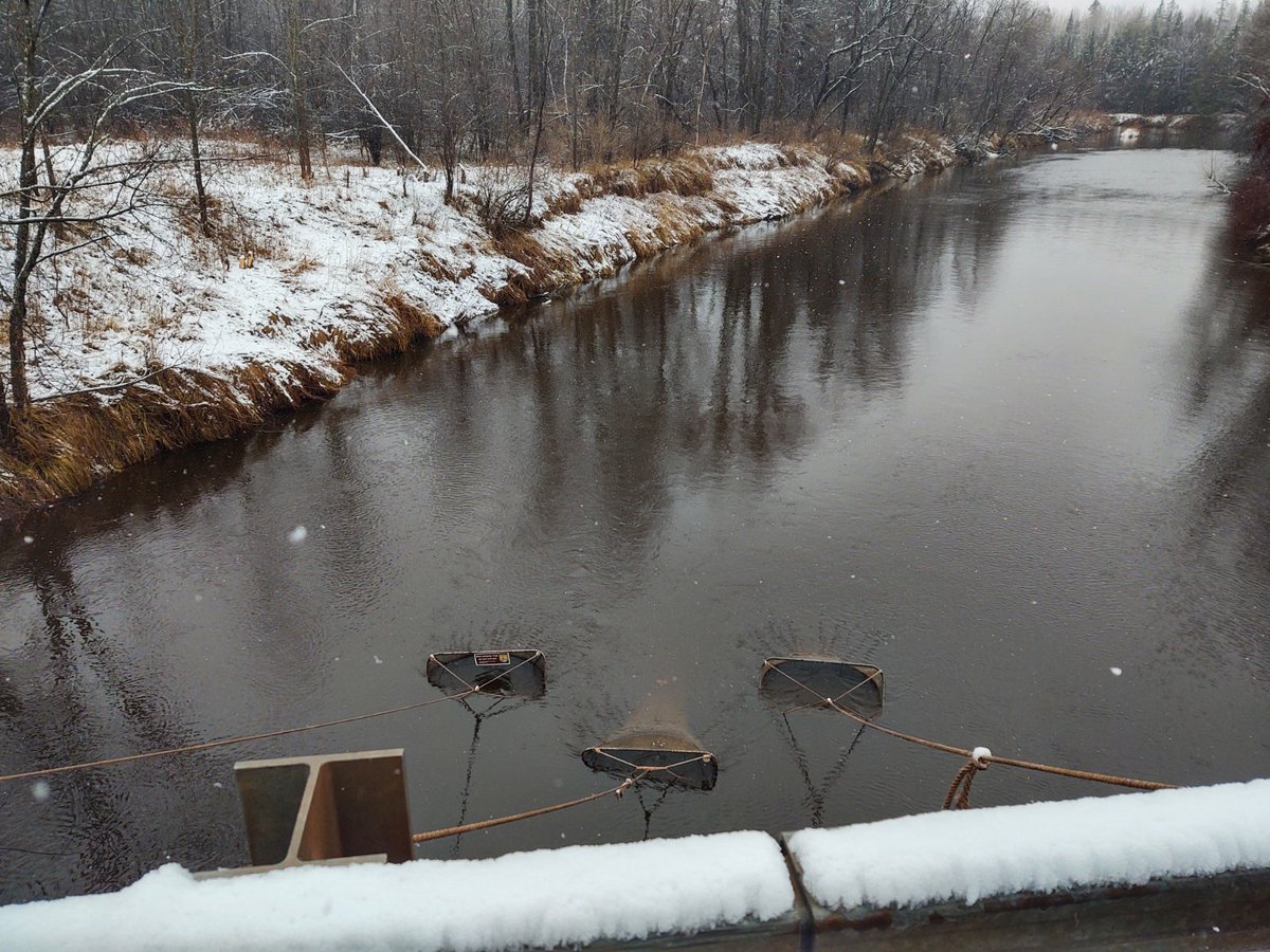 LampreyControl's tweet photo. Our partners at @USFWSFisheries and #GLIFWC have been hard at work setting fyke nets to trap recently transformed, parasitic-phase sea lampreys, saving the lives of countless Great Lakes fishes. Once captured, the lampreys are sent to Hammond Bay Biological Station for research. https://t.co/k7dLqkeJdk