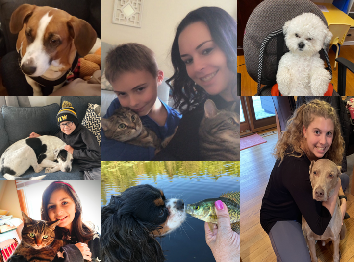 FlwWiPTA's tweet photo. Don't forget to upload a picture with your pet or your favorite stuffed animal today!  We are loving all the fun pictures.  #FLWALLINTHISTOGETHER #THATSHOWWEROLL #FREELUNCH #FLWSPIRIT https://t.co/AiHj9poXg0