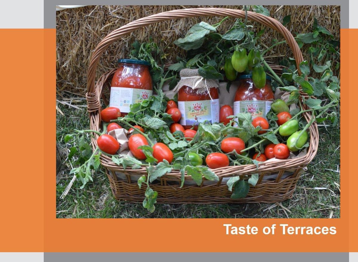 acarbio's tweet photo. One of our sustainability projects called ‘Taste of Terraces’ has made it to the finals of the #CLICstartupcompetition ! Now we need YOUR help to aid us in supporting local agriculture on the Amalfi Coast by voting for our project in the link below https://t.co/rvj53sAdcp