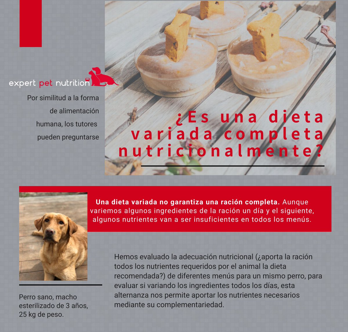Expert Pet Nutrition – Descripción de la empresa Expert Pet Nutrition – Descripción de la empresa
