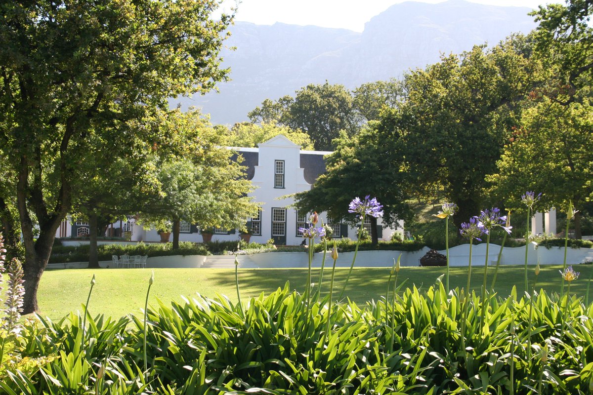 Zuid-Afrika's zoektocht naar bijzondere wijnen: victorvinum.nl/zuid-afrikas-z…