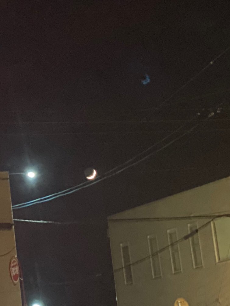 JunkJamProject's tweet image. 今日は、チェシャ猫の日だったからなのかな、
ねこの大合唱がきこえるー