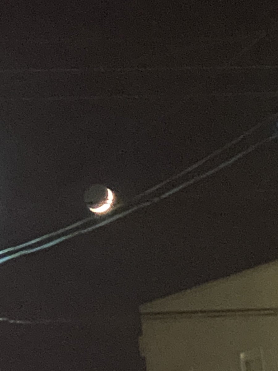 JunkJamProject's tweet image. 今日は、チェシャ猫の日だったからなのかな、
ねこの大合唱がきこえるー