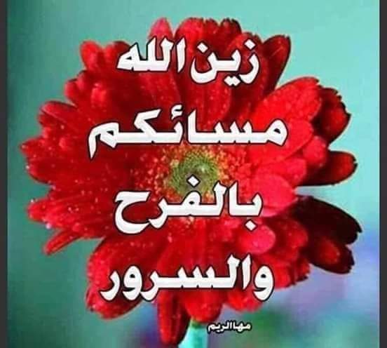 @SElkhuli @NhnsiUAmMW7J4nF @umyoussef222 @hamzeh1962 @raw_daa @Taghreed8cuHtP2 @hD0IGPYQ8sUhG0K @shoshoshosh1551 @samiha345123 @ideialghanem29 @gl5p0ikGx5VVN96 @NadaFadi5 @0mPEUu8EbV1tP1z @turky_nermeen @8DAmGtCYRVFdTzd @MElkamisy مساءك كل شىء جميل استاذ جلال