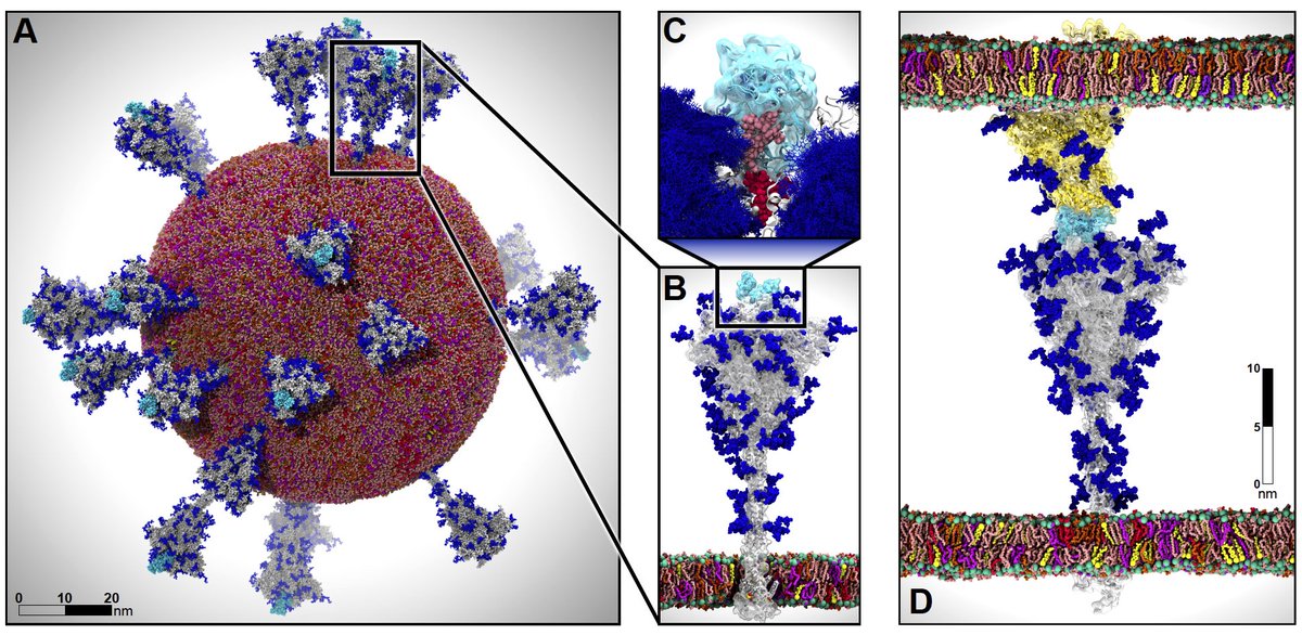 Rommie Amaro tweet media