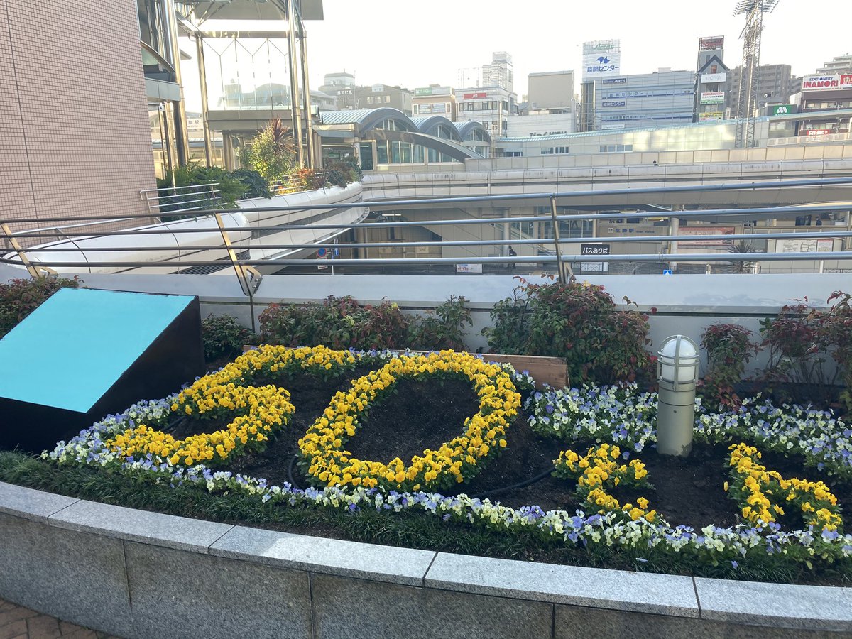 いこまタケ Pa Twitter アントレ生駒とベルテラスの間の花壇が 50周年仕様になってタケ 隠れている部分は 今日10 00からの記念式典で発表されるタケ ぜひ見に来てタケ 生駒市 花文字 生駒駅前 周年 記念 イベント いこまタケ Pa Twitter アントレ生駒とベルテラスの間の花壇が 50周年仕様になってタケ 隠れている部分は 今日10 00からの記念式典で発表されるタケ ぜひ見に来てタケ 生駒市 花文字 生駒駅前 周年 記念 イベント