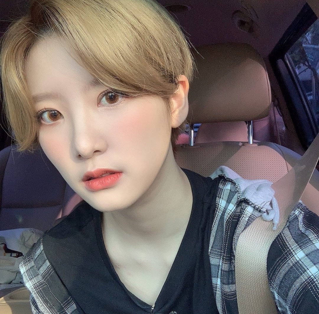 WITCH9S's tweet photo. Nuestra maknae tiquita fue volando  al debut de la década, just like the #BirdOfAprilis 🕊️. Y aunque las demás brujitas no estén presentes desde el otro lado del condado les gritamos que somos sus fans #1 y prometemos que #TheBlueAprilis estará sonando en la casita pastel. https://t.co/9w1kZCjlYu