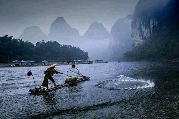 simontourcom's tweet photo. From Guilin to Yangshuo, along the Li River, is the most beautiful scenery in Guangxi: Gorgeous Karst peaks give you surprises at each bend of the limpid river under the blue sky. Water buffalo patrol the fields, peasants reap rice paddies, and fisherman float by on bamboo rafts https://t.co/hQyttg4O9z