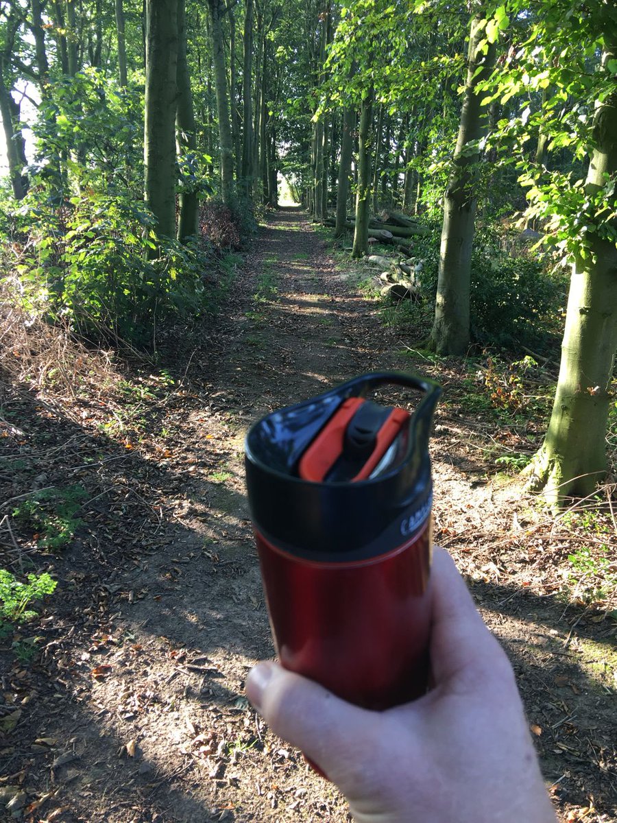 climbtreesuk's tweet photo. Got to have your coffee in the morning, aerial rescue training the the woods

#lovemyjob 
#outdoorlife 
#yorkshire https://t.co/1jxTqX6ml9