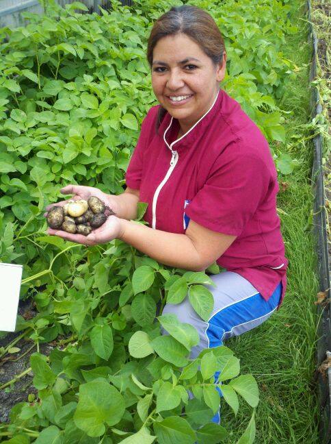 Gabrielasjr's tweet photo. Hoy, Día Nacional de la Alimentación, reiteramos el compromiso que tenemos de transitar hacia formas biodiversas, soberanas y sanas de generación de alimentos.

🍅🌱Alternativas que favorezcan el empoderamiento comunal de los medios de producción. Uno de ellos es el conocimiento. https://t.co/HvSDEtDtGc