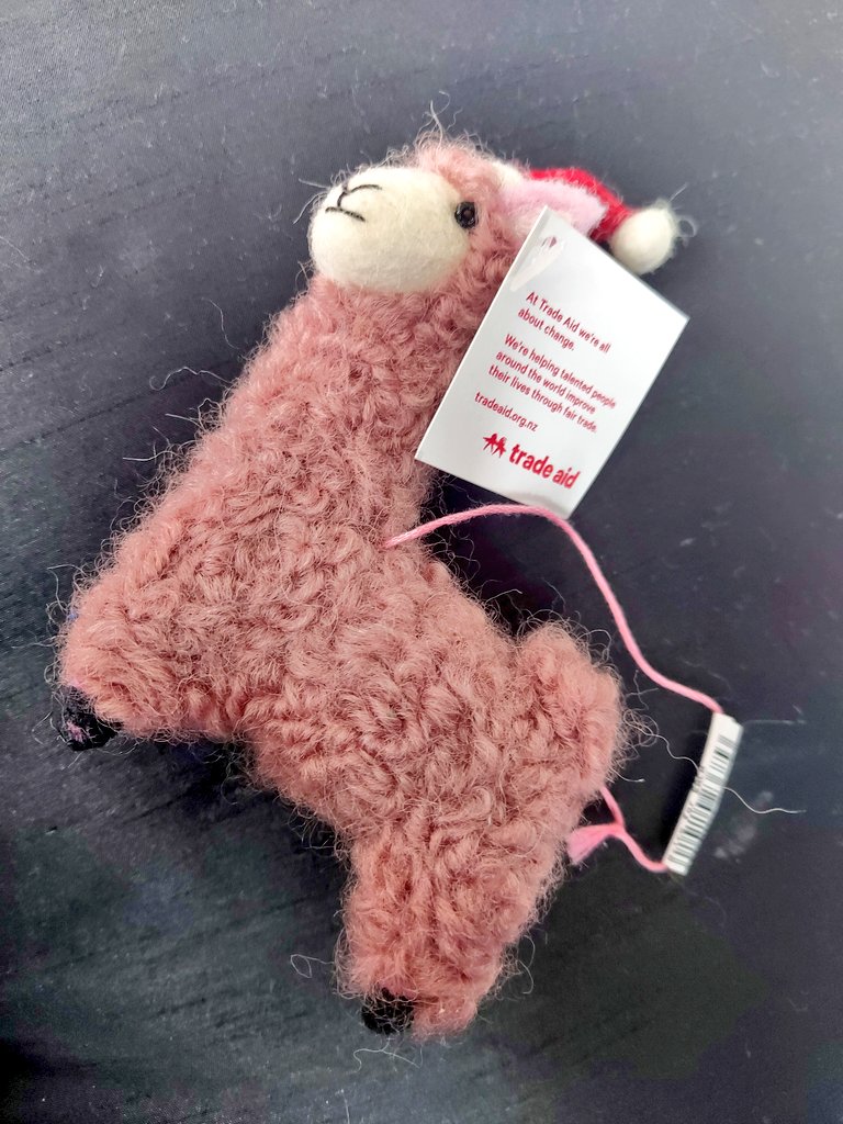 Michellet2111's tweet photo. My life is complete ❤
IT IS A CHRISTMAS LLAMA!!!
#livingthedream 
#Christmas #llama #tradeaid https://t.co/EohiyiW78M