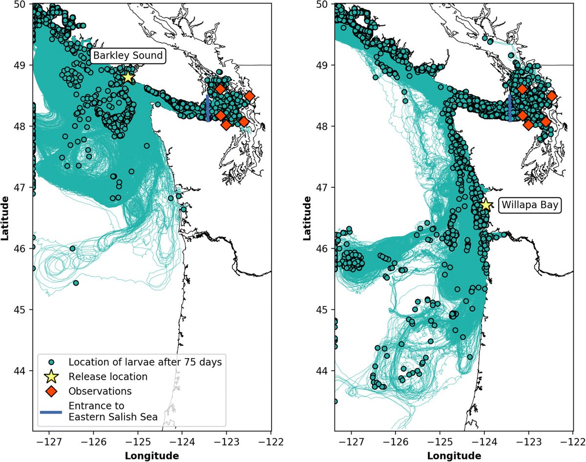 WAgreencrab's tweet photo. How did #invasive European #greencrab reach the eastern #SalishSea? Check out our recent newsletter to learn about Crab Team's research, led by Elizabeth Brasseale, that explores this question. @pmaccready @UWOcean @pseanmc 

https://t.co/odR8WwKWlK https://t.co/GFEzxoidRV