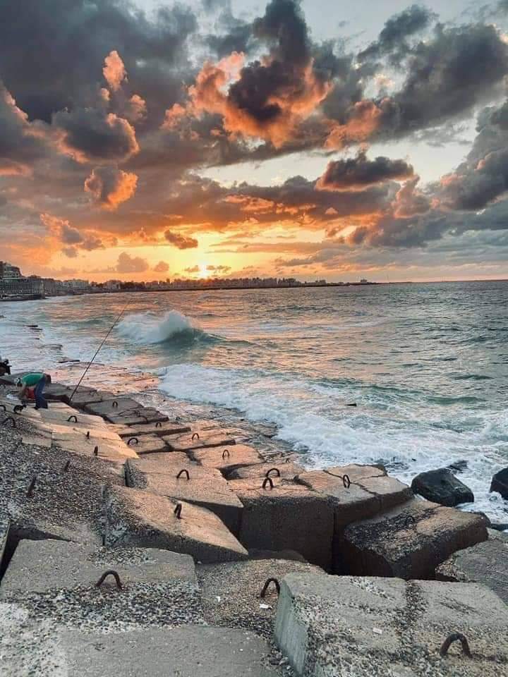 Alexandria_egy1's tweet photo. وأنا وانتي بنرقص في الطريق مجانين ♥ https://t.co/0hMbZJ21uE