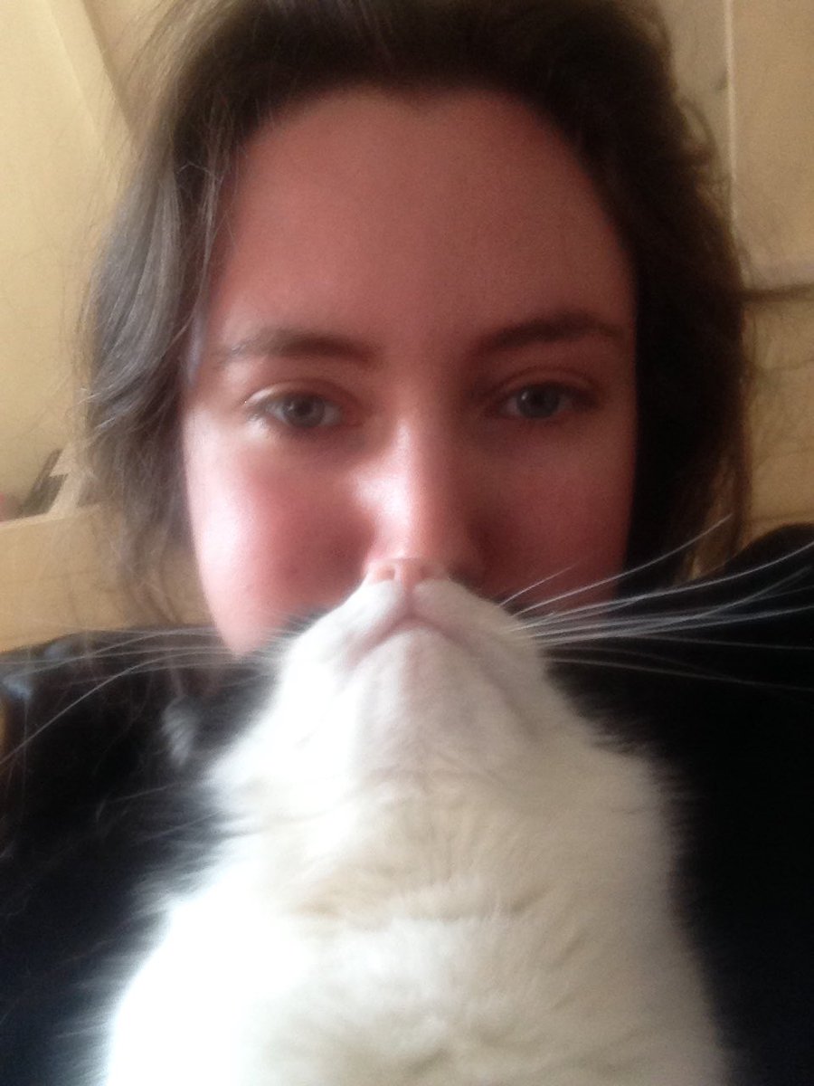 georgieandgilby's tweet photo. CATBEARD!
#CatsOfTwitter #catbeard #cat #cats #funnycats #animal #animals #funny #miaow https://t.co/4E0ZVwWyZn