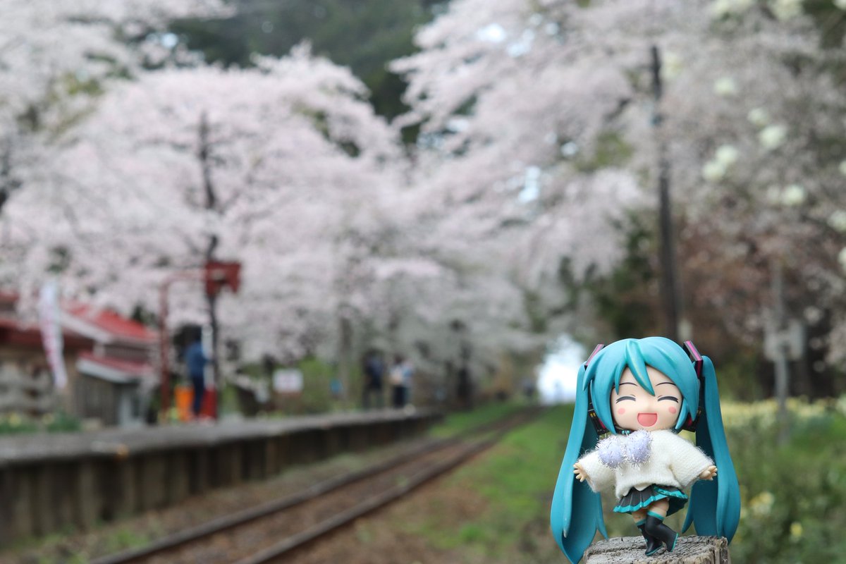 ryuuzi_f's tweet photo. #TLを日本の四季でいっぱいにしませんか
ミクさん達と巡る
日本の四季
( ´ ꒳ ` )♪ https://t.co/pyxjCl3snc