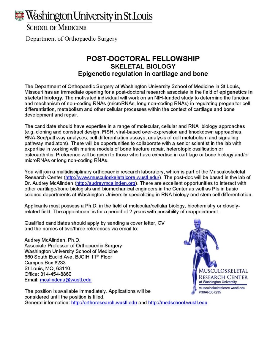 McAlinden_Lab's tweet image. McAlinden Lab is looking to hire a new post-doc. Please see attached ad. Retweet!  #research #skeletalbiology