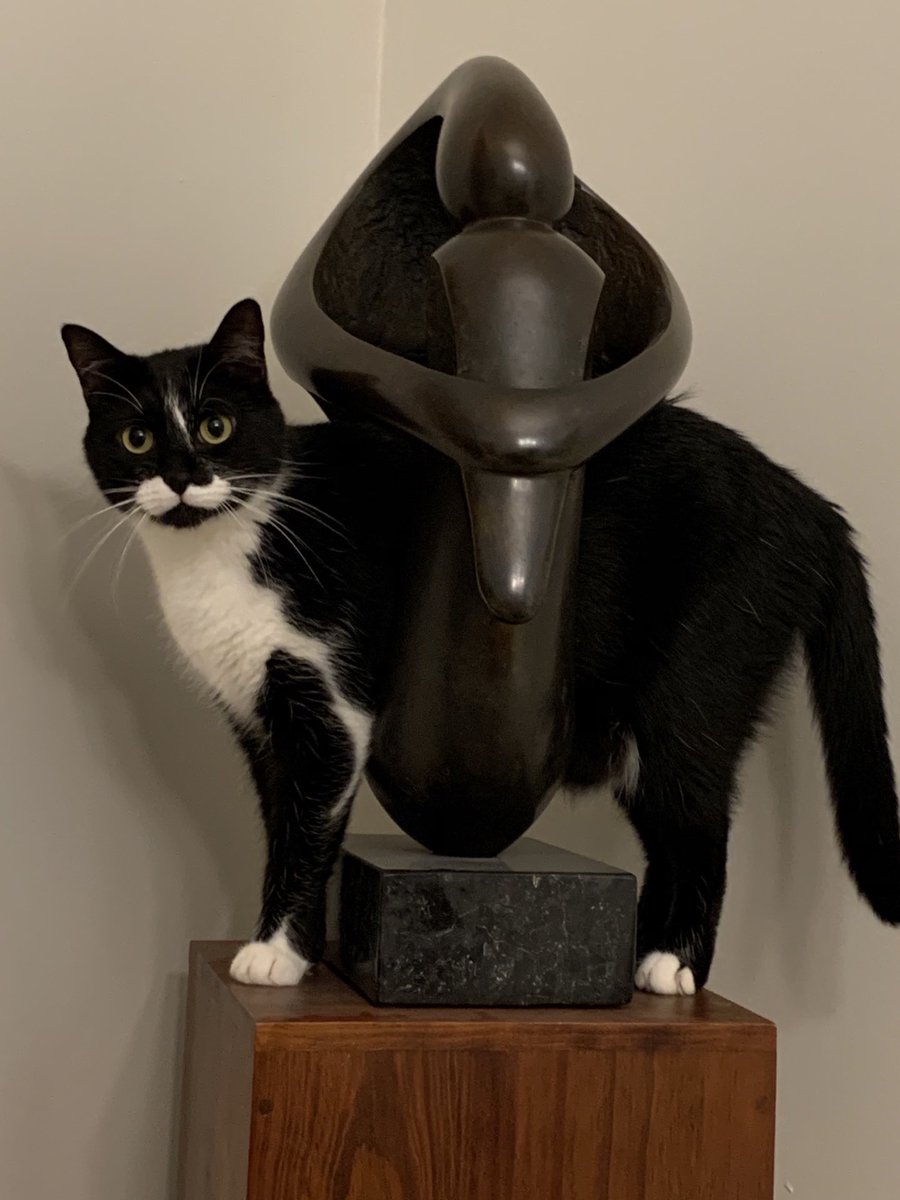 CMAlvord's tweet photo. “Now this is what the sculptor intended” #artlover #cattales https://t.co/AgiwBgJi7V