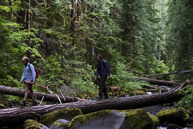 32. Old Joy (2006; Kelly Reichardt)Another Kelly Reichardt masterclass that's just so perfectly understated.