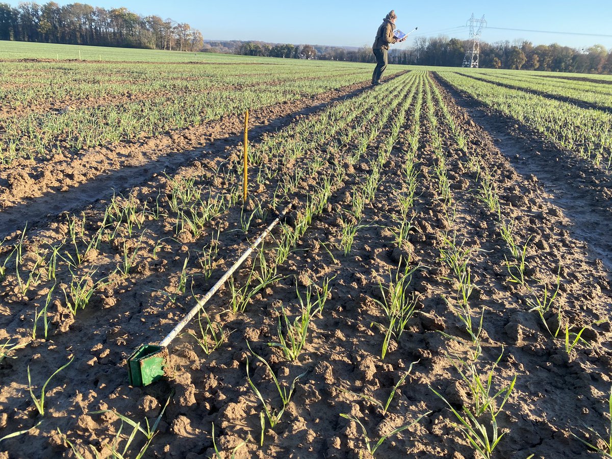 Val’epi, service agronomie tweet media