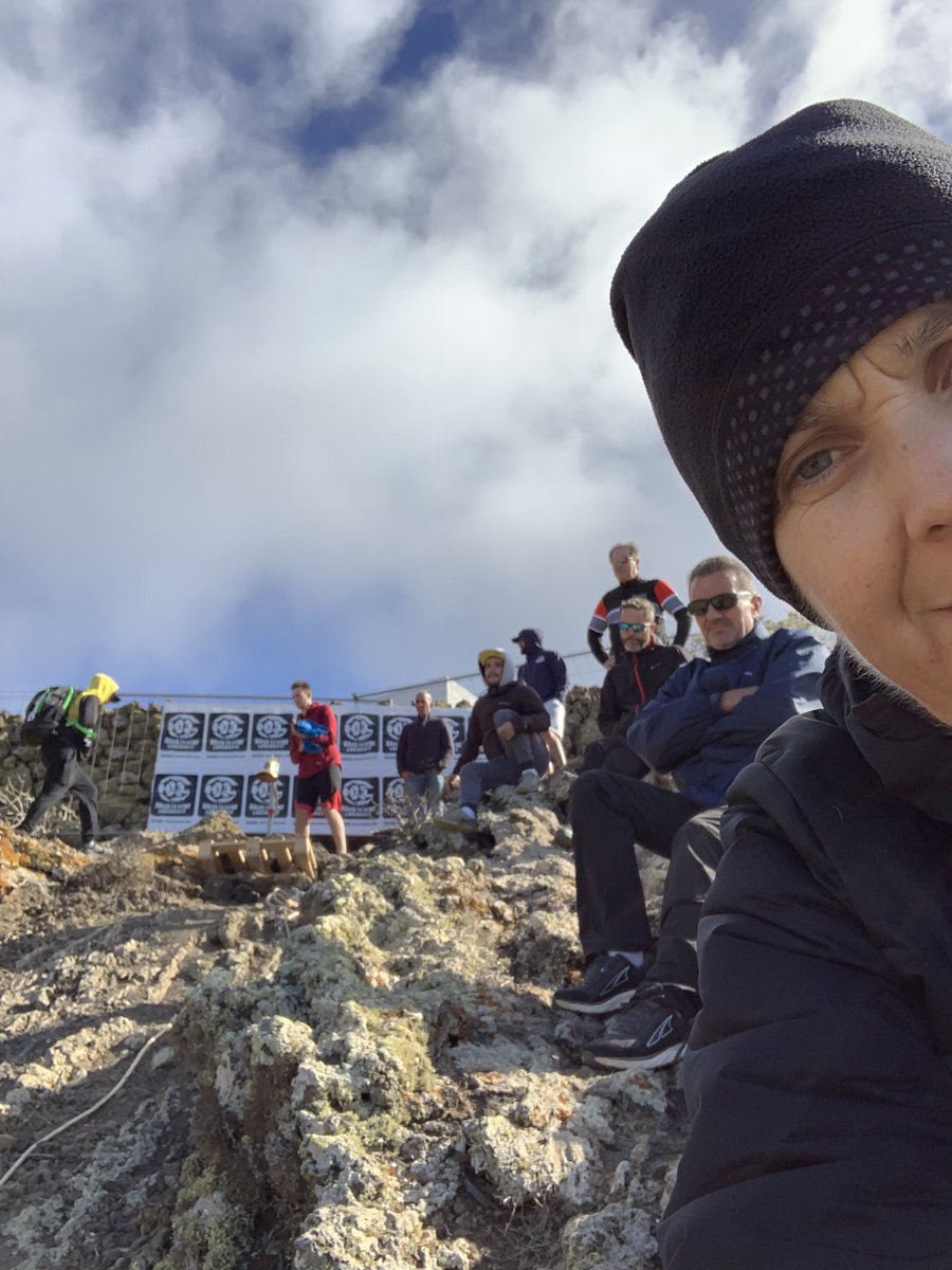 @avernotrail tweet media