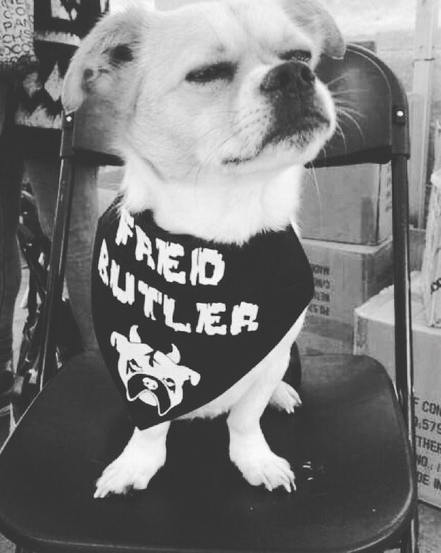 kimbochambers's tweet photo. Eight years ago! And what a little superstar he turned out to be! 💙 #FredButler ⭐️ https://t.co/vFKR5RSbDi