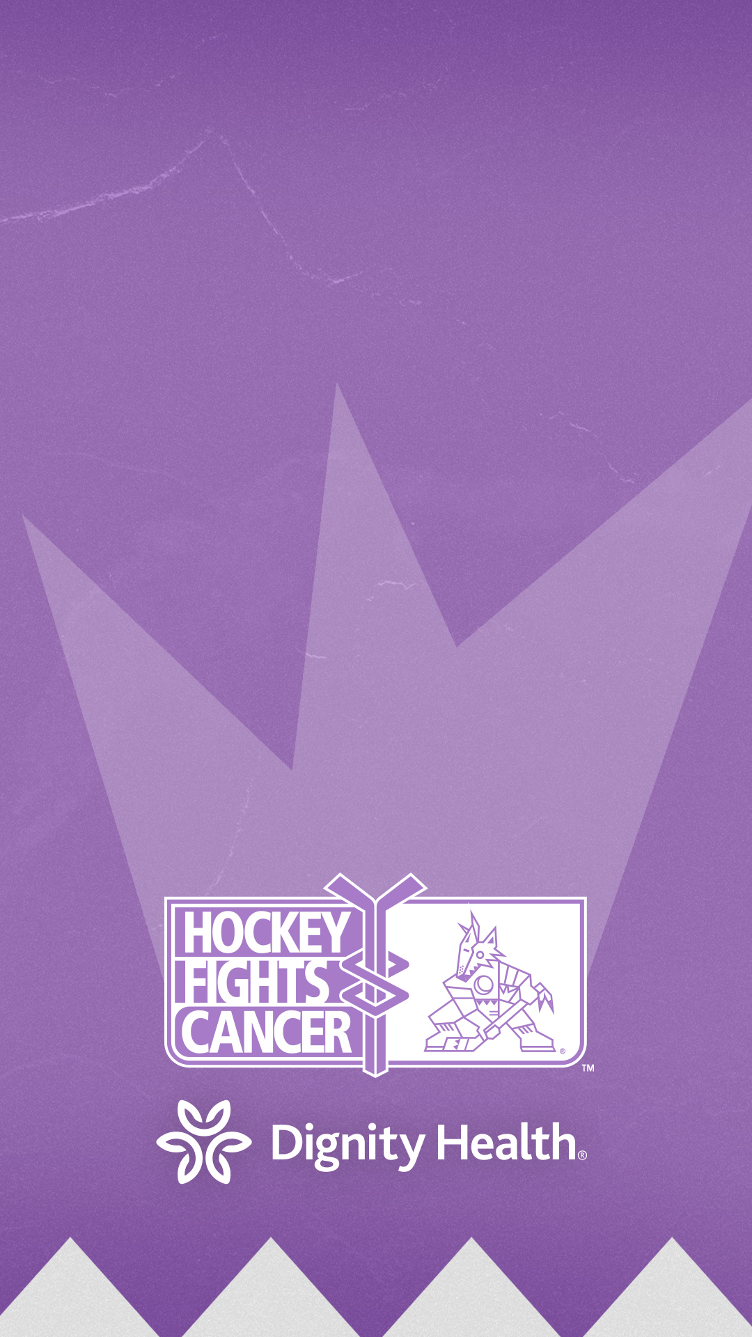 Arizona coyotes hotsell hockey fights cancer