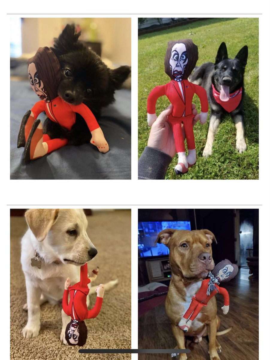 RaeOfHope808's tweet photo. Get your doggie this for Christmas! ๐
It will bring joy to the entire family!
#RepublicanDogs https://t.co/n1Li9FevK7